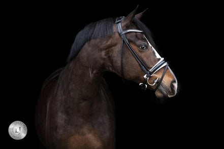 LJ Leathers Pro Selected SERRENTO Trens; Rondgenaaid Trenshoofdstellen - Maddelin Equestrian LJ Leathers