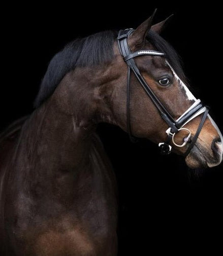 LJ Leathers Pro Selected SERRENTO Trens; Rondgenaaid Trenshoofdstellen - Maddelin Equestrian LJ Leathers