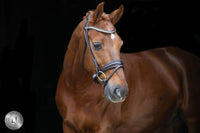 LJ Leathers Pro Selected SERRENTO Trens; Rondgenaaid Trenshoofdstellen - Maddelin Equestrian LJ Leathers