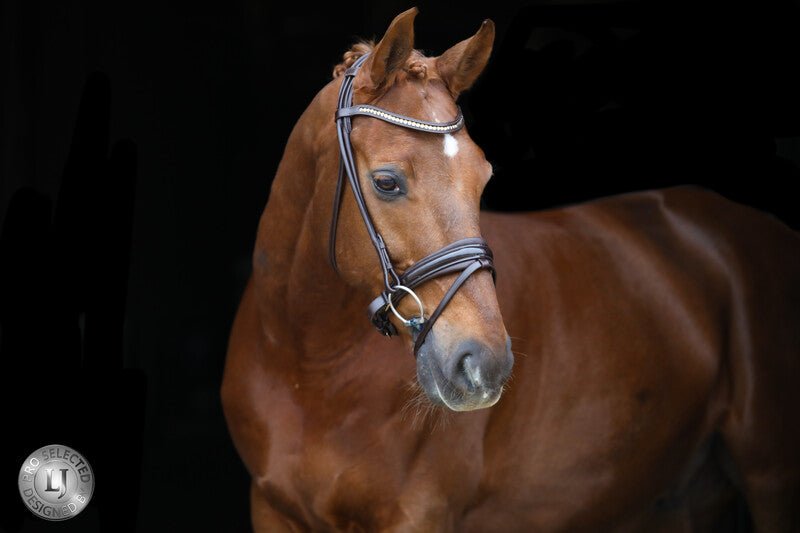 LJ Leathers Pro Selected SERRENTO Trens; Rondgenaaid Trenshoofdstellen - Maddelin Equestrian LJ Leathers