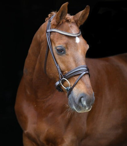 LJ Leathers Pro Selected SERRENTO Trens; Rondgenaaid Trenshoofdstellen - Maddelin Equestrian LJ Leathers
