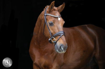 LJ Leathers Pro Selected SERRENTO Trens; Rondgenaaid Trenshoofdstellen - Maddelin Equestrian LJ Leathers