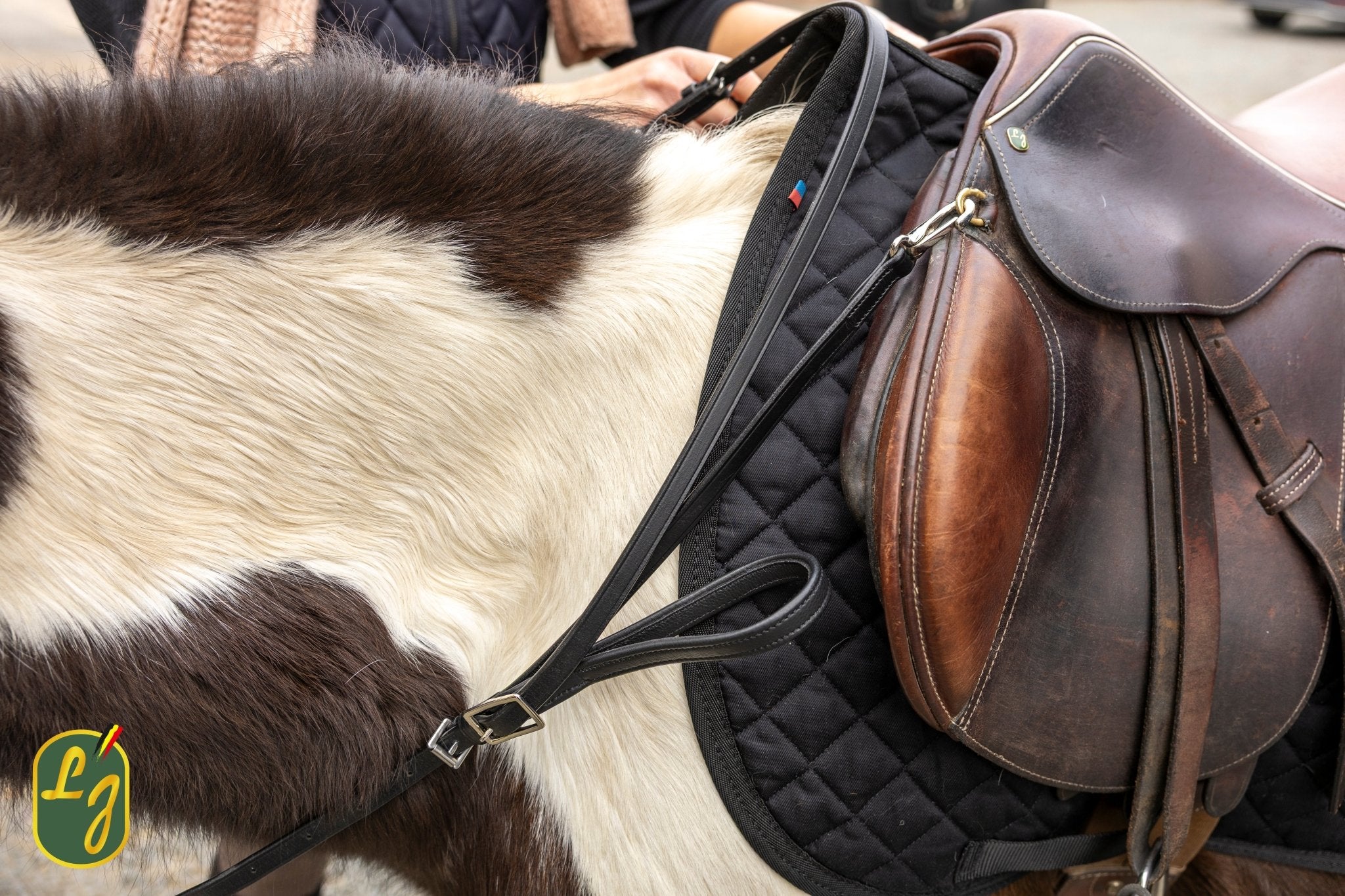 LJ Leathers Veiligheidsteugels voor kinderen Teugels - Maddelin Equestrian LJ Leathers