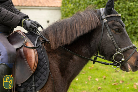 LJ Leathers Veiligheidsteugels voor kinderen Teugels - Maddelin Equestrian LJ Leathers
