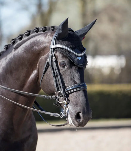 LeMieux Loire Earnet