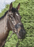LeMieux Comfort Shield Nose Net