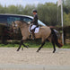 Maddelin Competitie Zadeldek Zadeldoeken - Maddelin Equestrian Maddelin