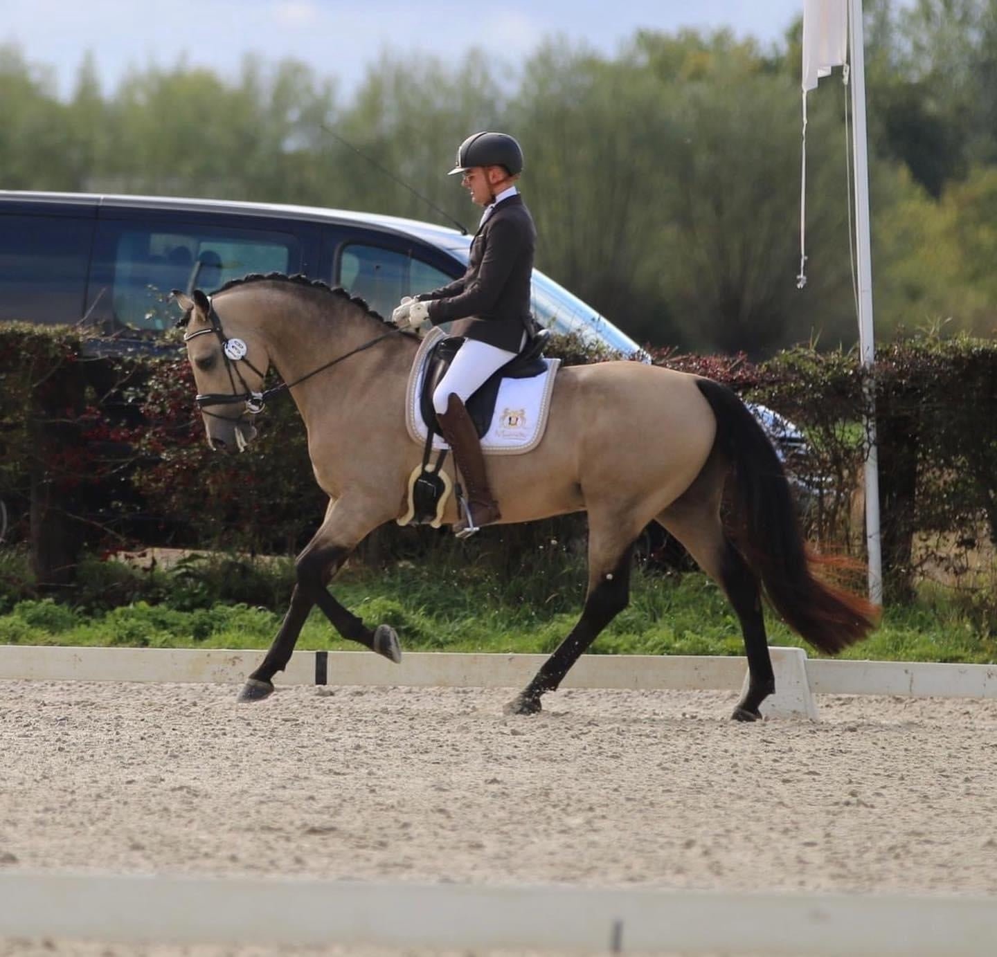Maddelin Competitie Zadeldek Zadeldoeken - Maddelin Equestrian Maddelin