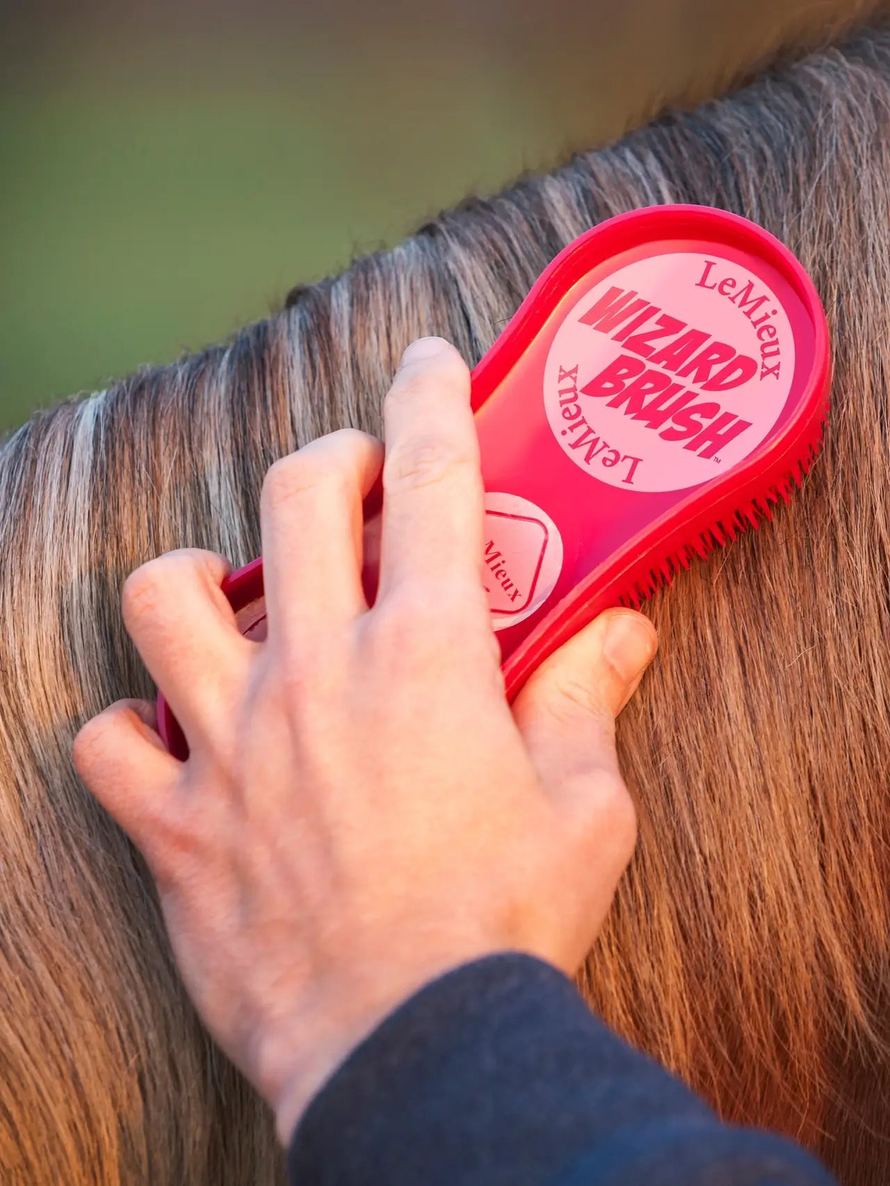 MagicBrush Borstelset 3 - delig Borstels & toebehoren - Maddelin Equestrian LeMieux
