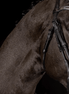 Mrs. Ros Rondgenaaide bakstukken Black Cob Toebehoren hoofdstellen - Maddelin Equestrian Mrs. Ros