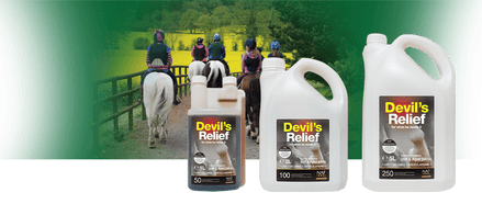 NAF Devils Relief Voedingssupplementen - Maddelin Equestrian Naf