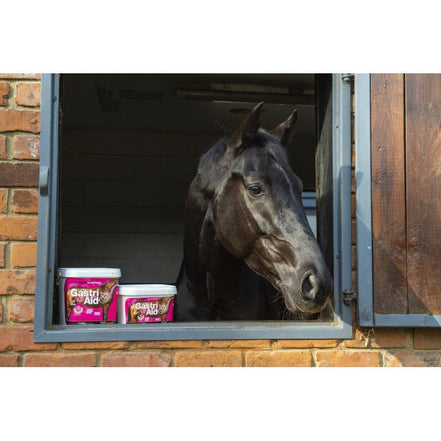 NAF Gastri Aid Voedingssupplementen - Maddelin Equestrian Naf