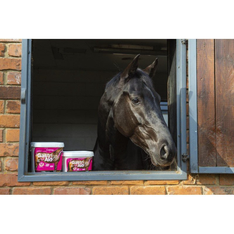 NAF Gastri Aid Voedingssupplementen - Maddelin Equestrian Naf
