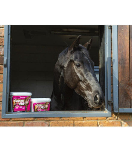 NAF Gastri Aid Voedingssupplementen - Maddelin Equestrian Naf