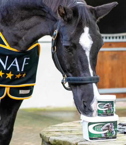 Naf Superflex Senior 1.980kg Voedingssupplementen - Maddelin Equestrian Naf