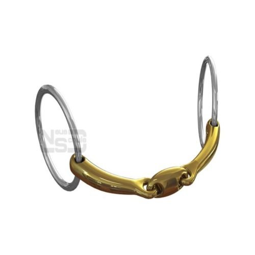 Neue Schule Team Up Watertrens - Maddelin Equestrian Neue Schule