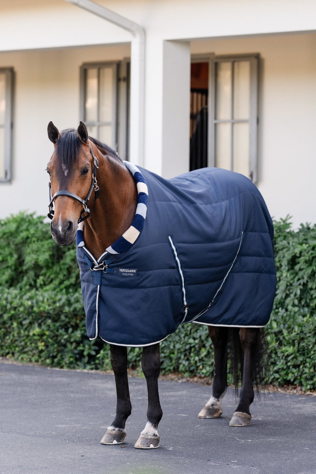 Horseware Newmarket Cosy staldeken in Witney Navy, zijaanzicht op het paard