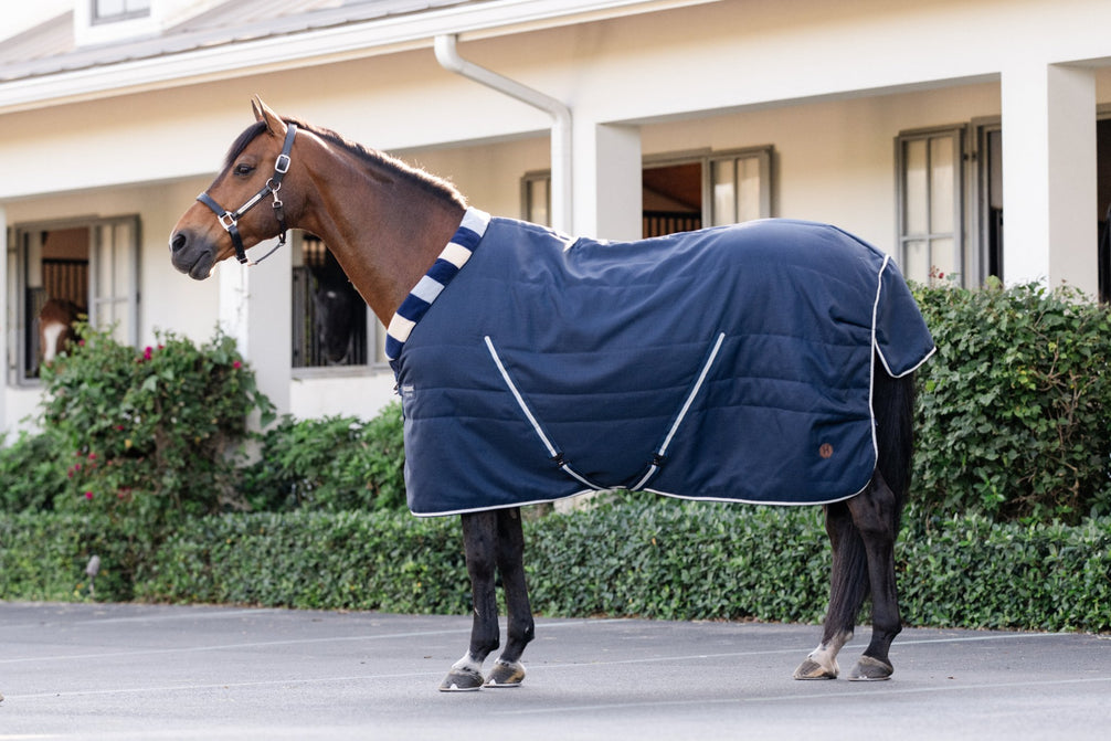 Newmarket Cosy staldeken in Witney Navy op een paard in de weide