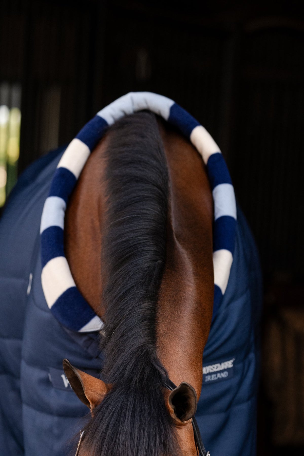 Achteraanzicht van de Newmarket Cosy staldeken in Witney Navy