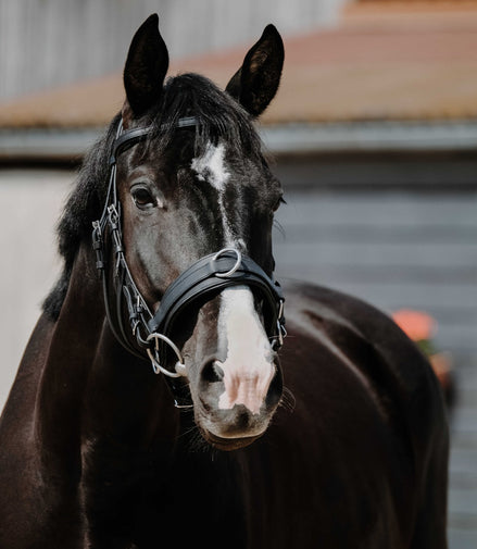 Norton Breed kaptoom Longeerbenodigdheden - Maddelin Equestrian Norton Club