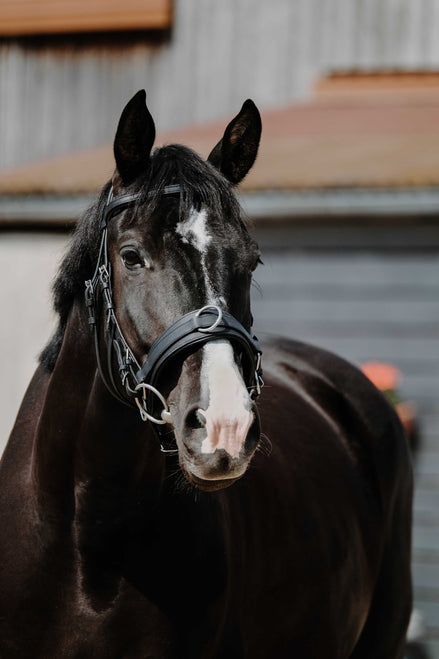 Norton Breed kaptoom Longeerbenodigdheden - Maddelin Equestrian Norton Club