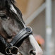 Norton Breed kaptoom Longeerbenodigdheden - Maddelin Equestrian Norton Club