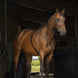 Norton Club Rekbare Hulpteugel Met zachte Inwerking Longeerbenodigdheden - Maddelin Equestrian Norton Club