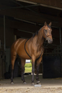 Norton Club Rekbare Hulpteugel Met zachte Inwerking Longeerbenodigdheden - Maddelin Equestrian Norton Club