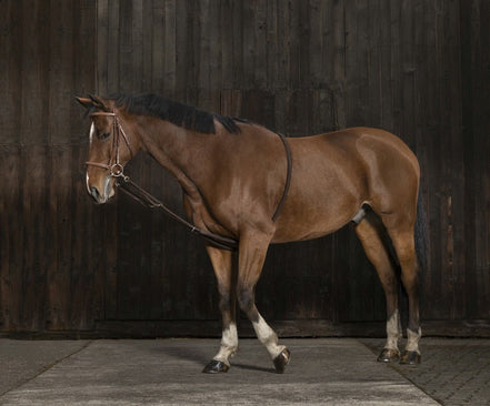 Norton Club Rekbare Hulpteugel Met zachte Inwerking Longeerbenodigdheden - Maddelin Equestrian Norton Club