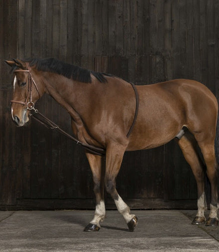 Norton Club Rekbare Hulpteugel Met zachte Inwerking Longeerbenodigdheden - Maddelin Equestrian Norton Club