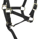 Norton Veulen halster + lijn Veulenhalsters - Maddelin Equestrian Norton Club