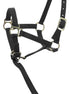 Norton Veulen halster + lijn Veulenhalsters - Maddelin Equestrian Norton Club