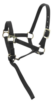 Norton Veulen halster + lijn Veulenhalsters - Maddelin Equestrian Norton Club