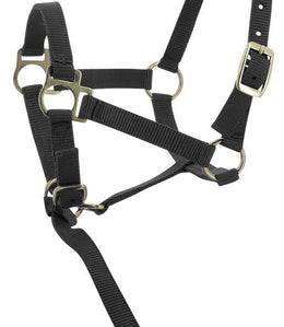 Norton Veulen halster + lijn Veulenhalsters - Maddelin Equestrian Norton Club