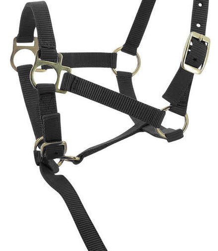 Norton Veulen halster + lijn Veulenhalsters - Maddelin Equestrian Norton Club