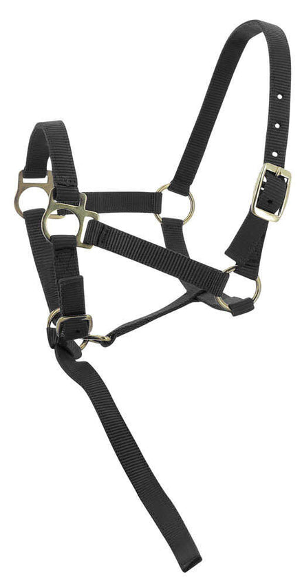 Norton Veulen halster + lijn Veulenhalsters - Maddelin Equestrian Norton Club