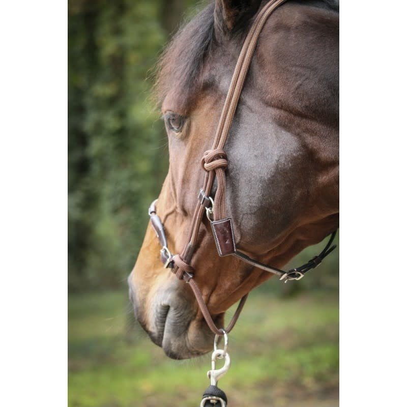 Penelope Halster éthologique Controle halster - Maddelin Equestrian Penelope