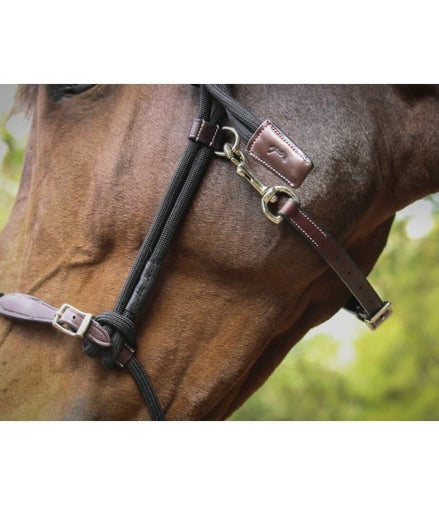 Penelope Halster éthologique Controle halster - Maddelin Equestrian Penelope