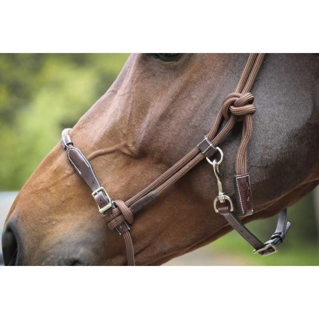 Penelope Halster éthologique Controle halster - Maddelin Equestrian Penelope