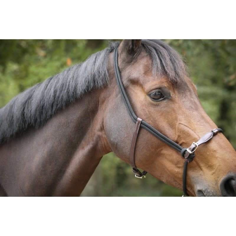 Penelope Halster éthologique Controle halster - Maddelin Equestrian Penelope