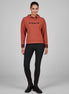 Pikeur Sweater Women 8281 Selection FW25!