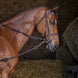 Pirelli Bijzetteugels Zwart Longeerbenodigdheden - Maddelin Equestrian Riding World
