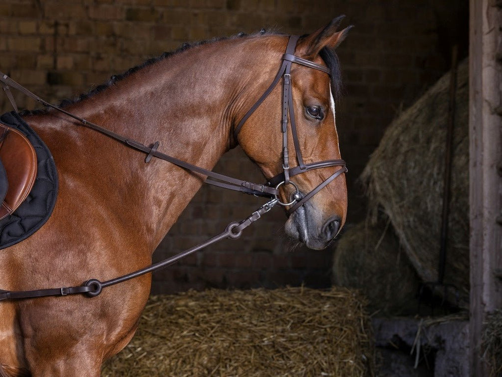Pirelli Bijzetteugels Zwart Longeerbenodigdheden - Maddelin Equestrian Riding World
