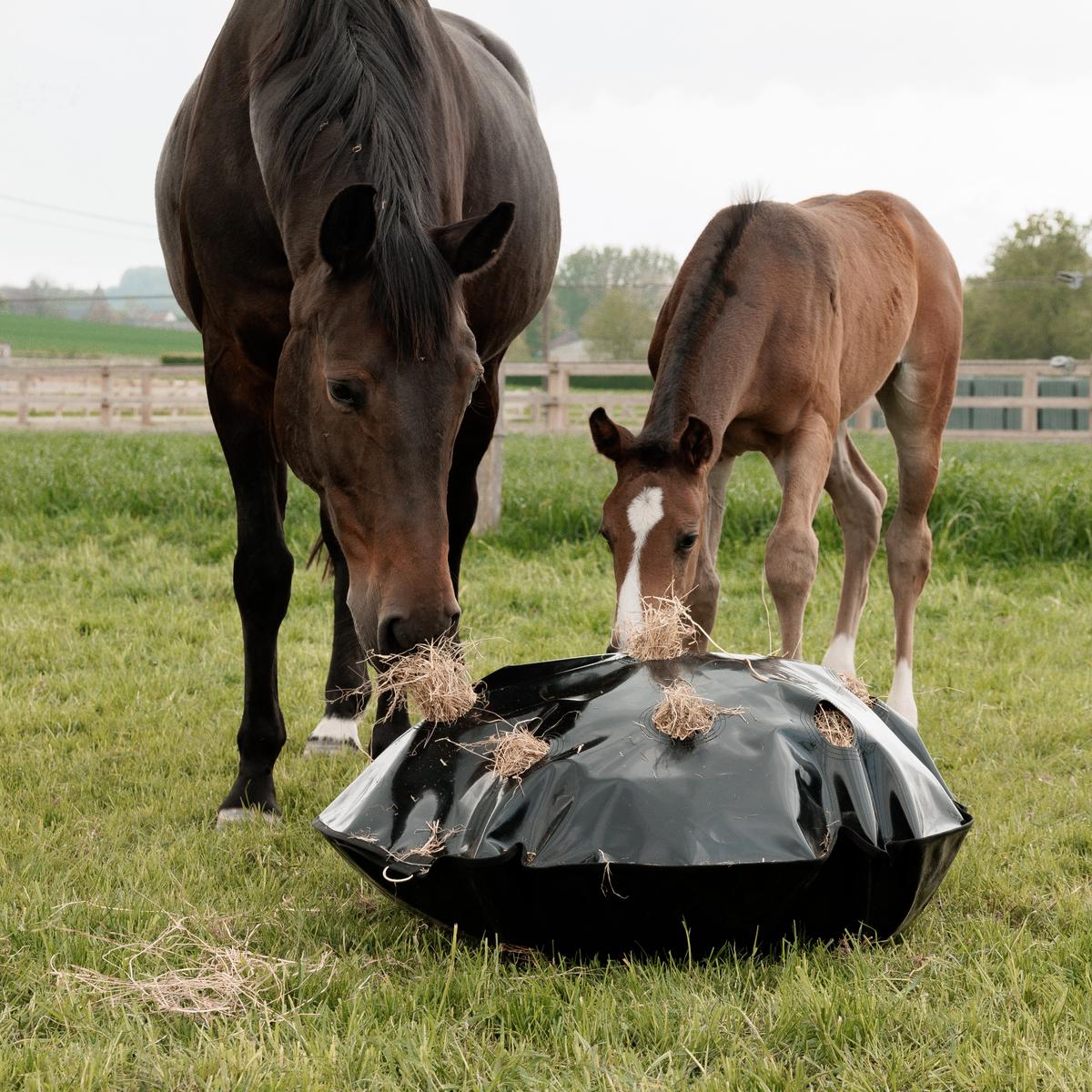 Play & Haybag Slow Feeder Round Hooinetten - Maddelin Equestrian Kentucky