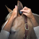Plughz Ear Plug Oornetjes - Maddelin Equestrian Plughz