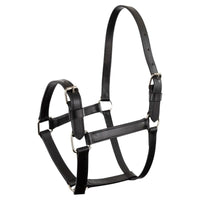 Premiere Halster Beauvais Lederen - Maddelin Equestrian Premiere