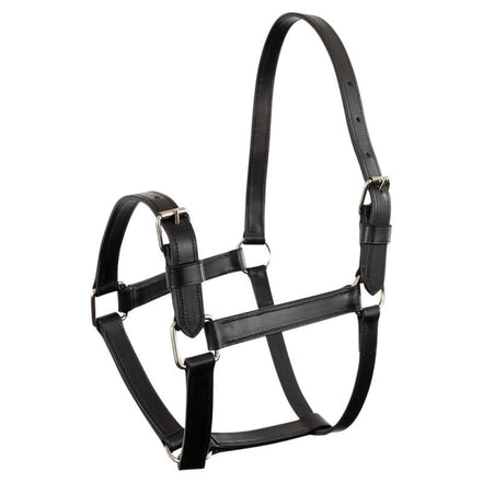 Premiere Halster Beauvais Lederen - Maddelin Equestrian Premiere