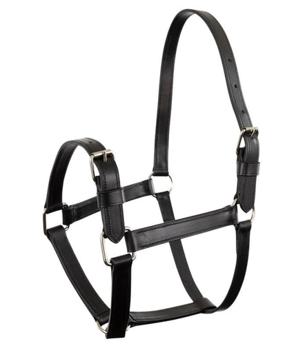 Premiere Halster Beauvais Lederen - Maddelin Equestrian Premiere