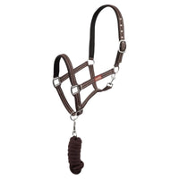 Premiere Halsterset Musketon Nylon halsters - Maddelin Equestrian Premiere