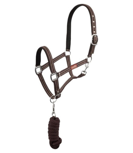 Premiere Halsterset Musketon Nylon halsters - Maddelin Equestrian Premiere
